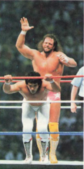 Randy Savage (above) and Ricky Steamboat during their match at WrestleMania III in 1987